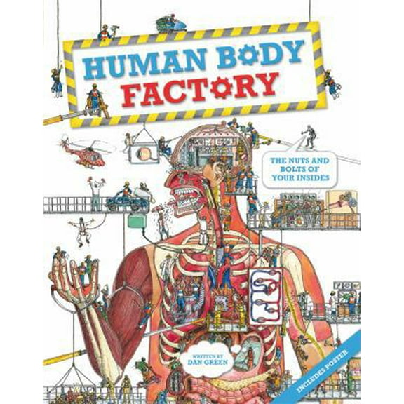 Pre-Owned The Human Body Factory: The Nuts and Bolts of Your Insides (Hardcover) 0753468085 9780753468081