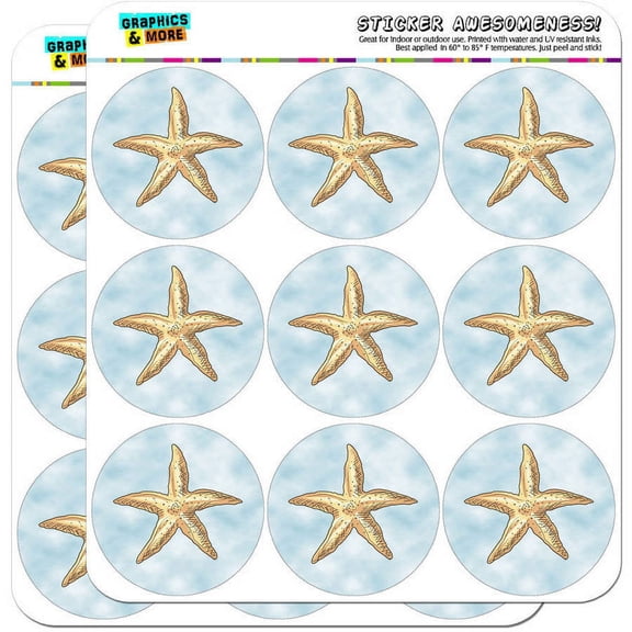 Starfish Ocean Sea Creature Beach 18 2" Planner Calendar Scrapbooking Crafting Stickers