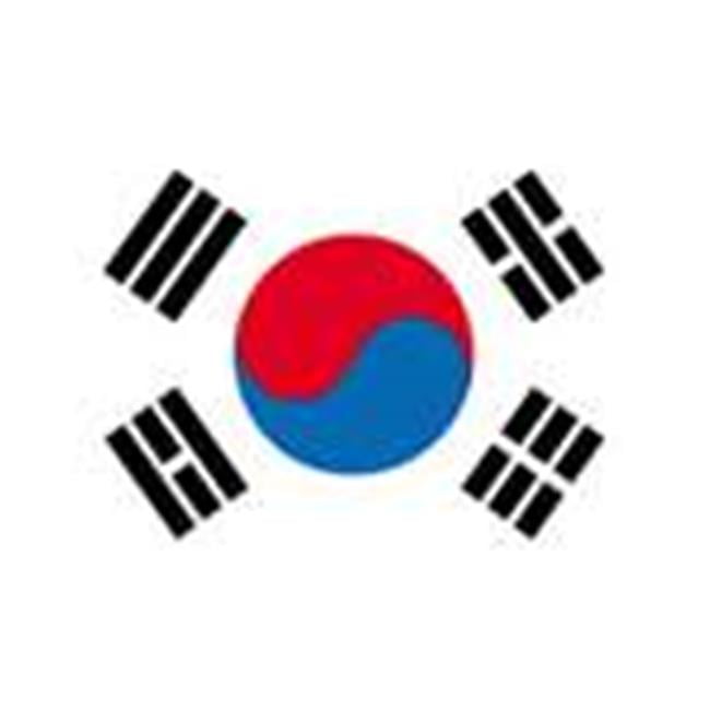 Annin Flagmakers 197609 4 ft. X 6 ft. Nyl-Glo South Korea Flag by Annin Flagmakers