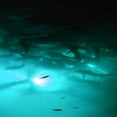 thumbnail image 4 of Goture 12V 10.8w 180 LEDs Submersible Fishing Light with 5m/12m Cord - White, Blue, Green, 4 of 7