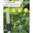 thumbnail image 3 of Plantadora vertical de tomates BUZZY Seeds Tom Tomato con espaldera, 3 of 9