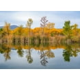 thumbnail image 2 of Fitzharris, Tim 32x25 White Modern Wood Framed Museum Art Print Titled - Lagoon Reflection-Dead Horse Ranch State Park-Arizona-USA, 2 of 4