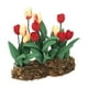 thumbnail image 4 of Mini flor para casa de muñecas,Casas de muñecas con tulipanes en el césped,Mini jardín de tulipanes para casa de muñecas,Accesorios florales en miniatura para casa de muñecas,Tulipán en, 4 of 9