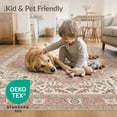 thumbnail image 4 of ODIKA 4'x6' Pink Soft Floral Design Washable Area Rug Elegant Rose Motif with Vintage Charm for Bedroom, Reading Nook, Pet Friendly & Non-Shedding, 4 of 7