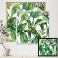 thumbnail image 4 of Designart 'Foliage Of Tropical Leaves On White' Tropical Framed Canvas Wall Art Print, 4 of 5