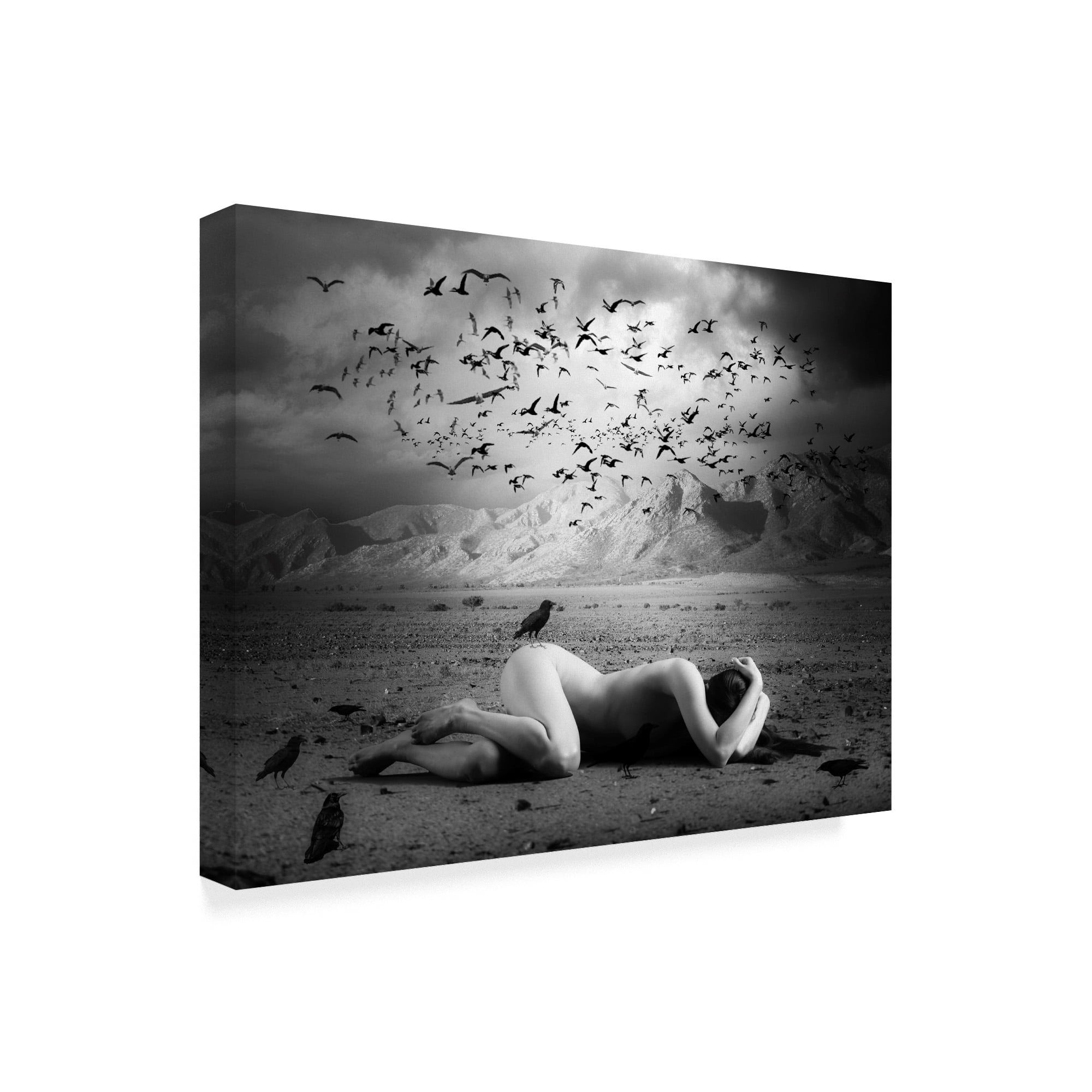 Black Bird Land 47 in x 35 in Photography Canvas Art Print, by Trademark Art