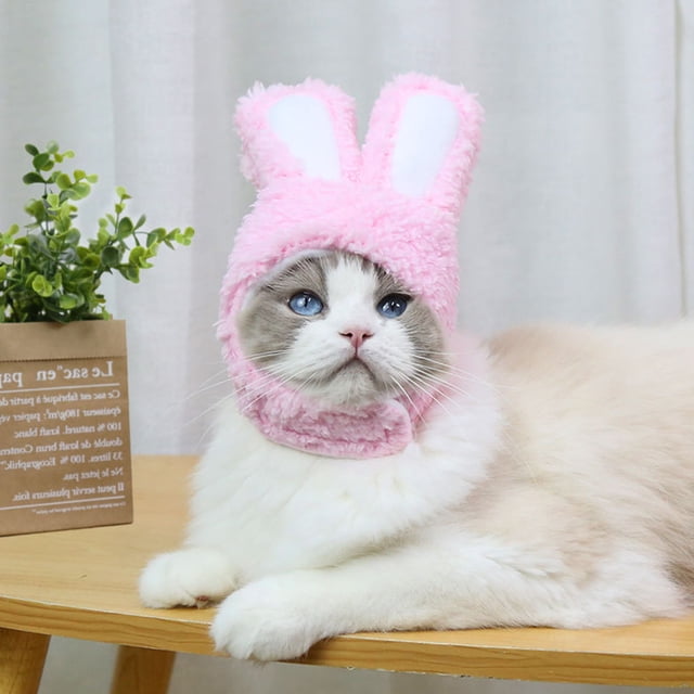 Gorro con orejas de conejo para gatos, gorro de dibujos animados para perros y gatos, gorros para vestir mascotas, suministros (rosa)