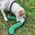 thumbnail image 3 of Juguete para Perro SmartPetLove Tender-Tuffs Fetch de Peluche con Chirriador, 3 of 8