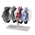 thumbnail image 3 of Maoww Display Stand T-bar Bracelets Organizer Jewellery Modern Storage Showcase Rack Holder Large Space Decoration Store White, 3 of 8