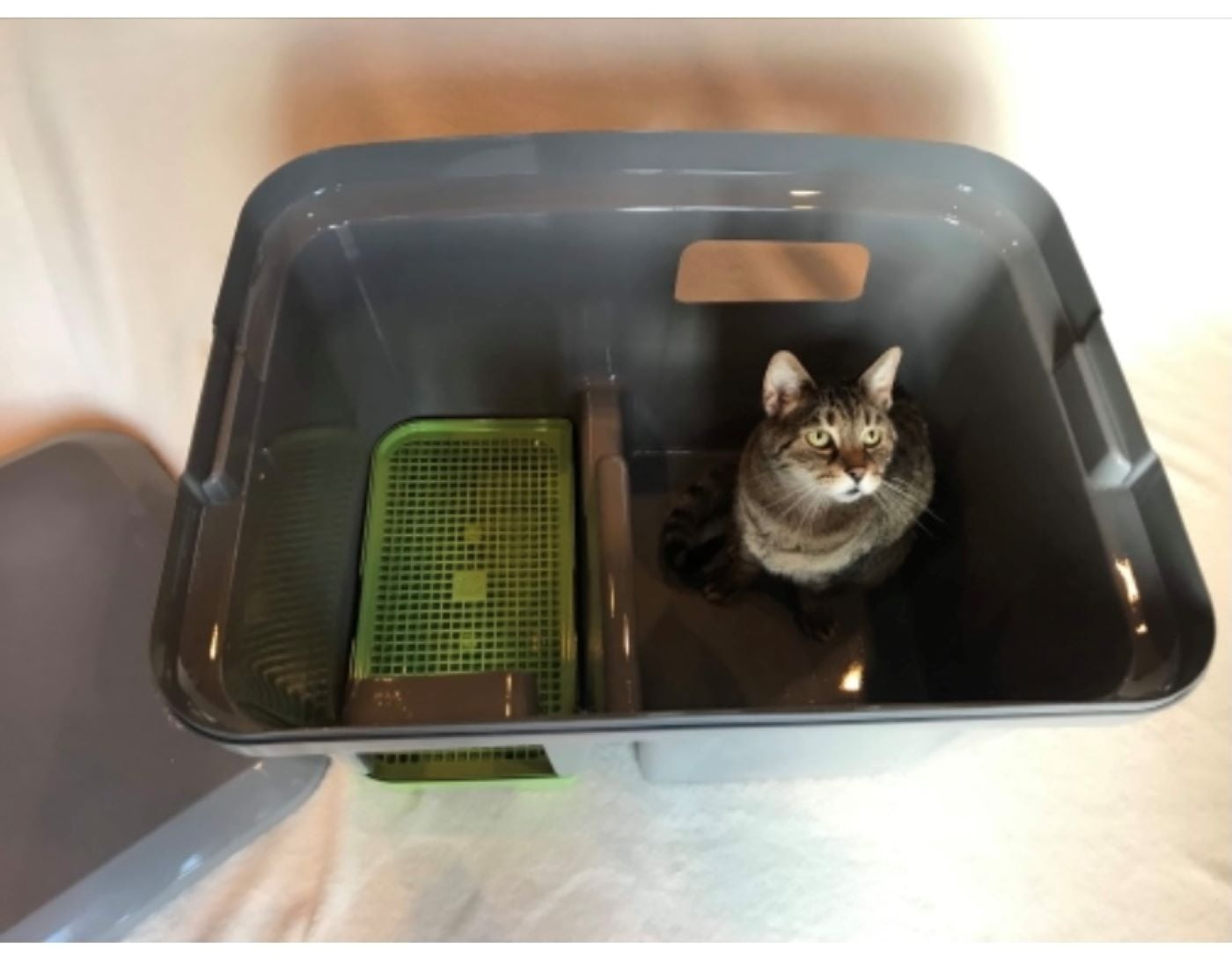 The Grate Litter Box