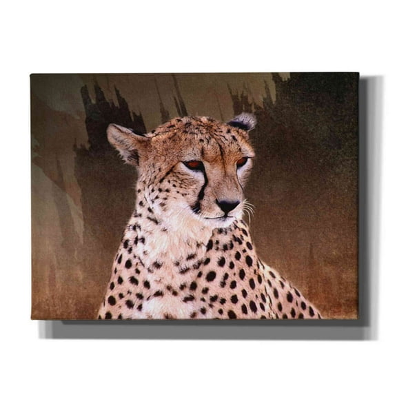 Epic Graffiti 'Wildness Cheetah' by Karen Smith, Canvas Wall Art, 16"x12"