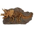 thumbnail image 1 of MasteelfCA 1Pc Simulated Dinosaur Fossil Decor Chic Wall Pendant Home Backdrop Adorn Brown, 1 of 7