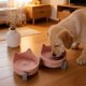 thumbnail image 5 of Comedero elevado para mascotas de doble cuenco de cerámica – Comedero elevado para perros para gatos, cuencos anchos y poco profundos contra la fatiga por bigotes, protección, 150 ml, rosa, 5 of 7