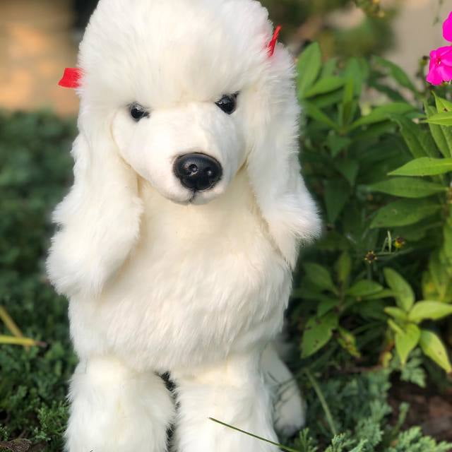 Small Dog Puppy Soft Caress Plush Toy Cute White Poodle Realistic Features 