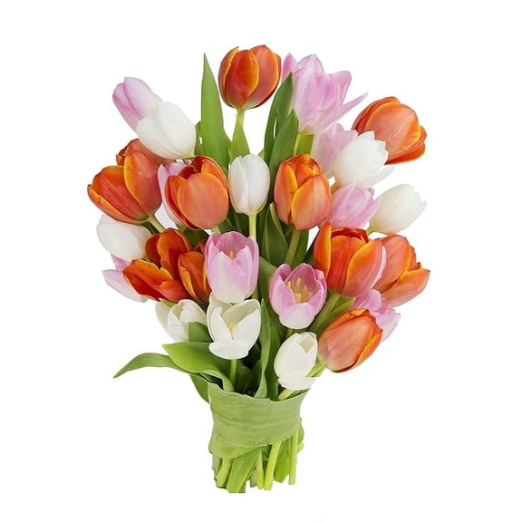 KaBloom : 10 Pink Tulips, 10 Orange Tulips, 10 White Tulips from Holland Next-Day Delivery.