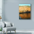 thumbnail image 3 of Trademark Fine Art 'Colorful Reflection 2' Canvas Art by Nina Marie, 3 of 3