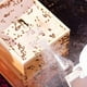 thumbnail image 2 of Ahumador Bee Hive VIVO de acero inoxidable con protector térmico, 2 of 9
