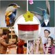 thumbnail image 5 of Comedero para colibríes fácil de limpiar | Comedero para colibríes con 3 puertos de alimentación | Jardín, 5 of 5