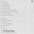 thumbnail image 3 of What Now & No Rules Sandy & With (Violet/Sea Blue Vinyl/2LP), 3 of 4