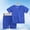 Blue, variant on Girls Summer 2 Piece Outfits Cute Short Sleeve and Casual Shorts Kids Clothing Set Black Size 1T