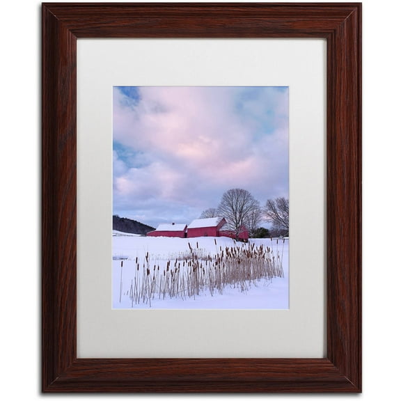 Trademark Fine Art "Cat O'Nine In Snow" Canvas Art by Michael Blanchette Photography White Matte, Wood Frame