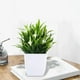 thumbnail image 4 of Plantas Artificiales En Maceta con Flores, Pequeñas Plantas Artificiales para Decoración de Interiores (Hogar, Baño, Cocina, Oficina, Escritorio), Planta de Plástico Verde de 18 Cm de Altura, 4 of 6