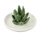 thumbnail image 2 of Bandeja decorativa de cerámica con forma de aloe para joyas, aretes, collares y pulseras. Estilo 2, 2 of 9