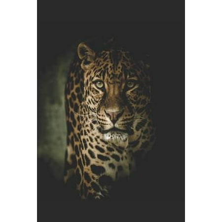 Aa Big Book Leather Covers Leopard: The Empty Lined Notebook Journal Diary for Lovers of Leopards, Lions, Tigers and Other Big Cats Paperback ()