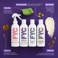 thumbnail image 4 of FYC For Your Curls Starter Bundle for Curly Hair with Shampoo, Conditioner, Leave-In & Detangle Spray, Boost Moisture and Shine, Control Frizz and Define Curls, No Sulphates or Parabens 4 x 250ml, 4 of 6