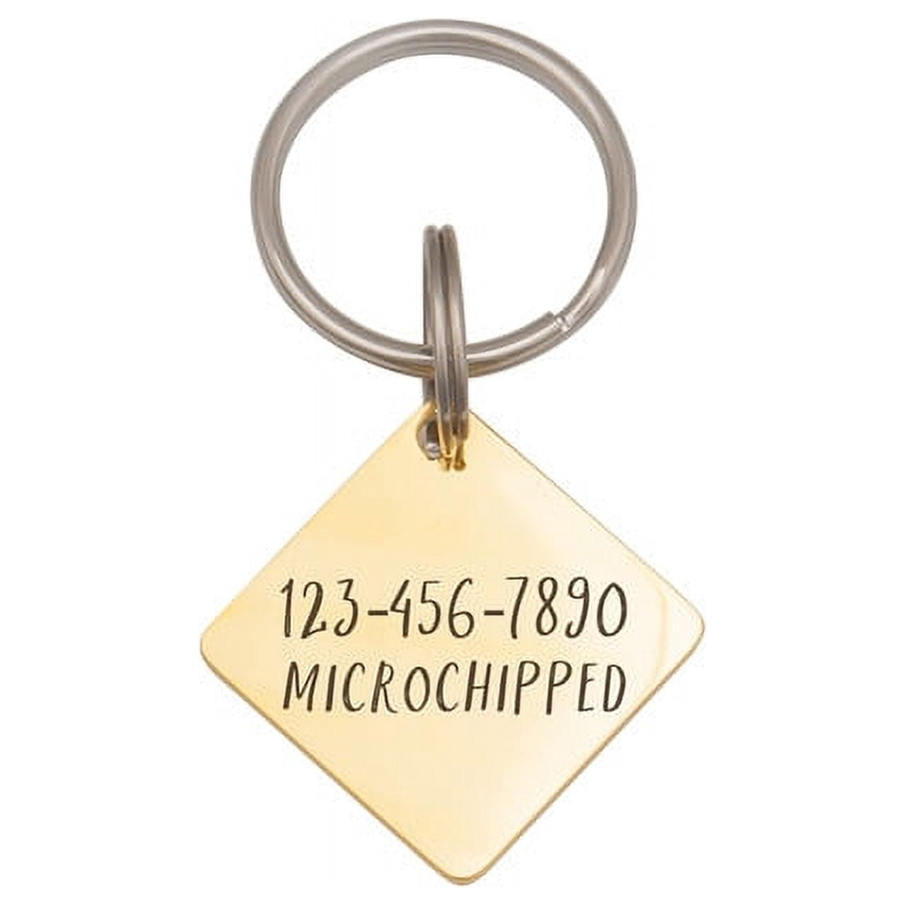 Anavia Stainless Steel Double Sided Diamond Name and Frame Engraved Dog & Cat ID Tag, Multi-color, L