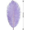 thumbnail image 2 of Namzi Ostrich Feathers, 24 Pcs 25-30cm Purple Feathers Ideal for Wedding Centerpiece, Table Decor Vase Fillers, 2 of 5