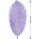 thumbnail image 2 of Nvzi 24 piezas de plumas de avestruz azul bebé naturales a granel de 10 a 12 pulgadas, 25 cm a 30 cm para centros de mesa de bodas, fiestas, Pascua Gatsby y decoración del hogar, plumas de avestruz, 2 of 5