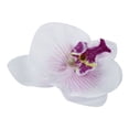 thumbnail image 2 of Lote de 60 Pcs de Mariposa Orquidea de 9 cm Cabeza de Flor Artificial Decoracion para Boda Accesorio para Broche para El Pelo, 2 of 4