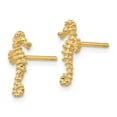 thumbnail image 2 of FB Jewels 14K Yellow Gold Mini Seahorse Post Earrings, 2 of 3