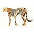 thumbnail image 2 of Wiens, James 14x11 White Modern Wood Framed Museum Art Print Titled - Wild and Free VII Bold, 2 of 4