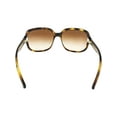 thumbnail image 3 of COACH Sunglasses HC8169 512013 Dark Tortoise, 3 of 3