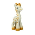 thumbnail image 6 of Nuby Jackie the Giraffe Natural Rubber Teether for Babies, Yellow Infant Teething Toy, 6 of 9
