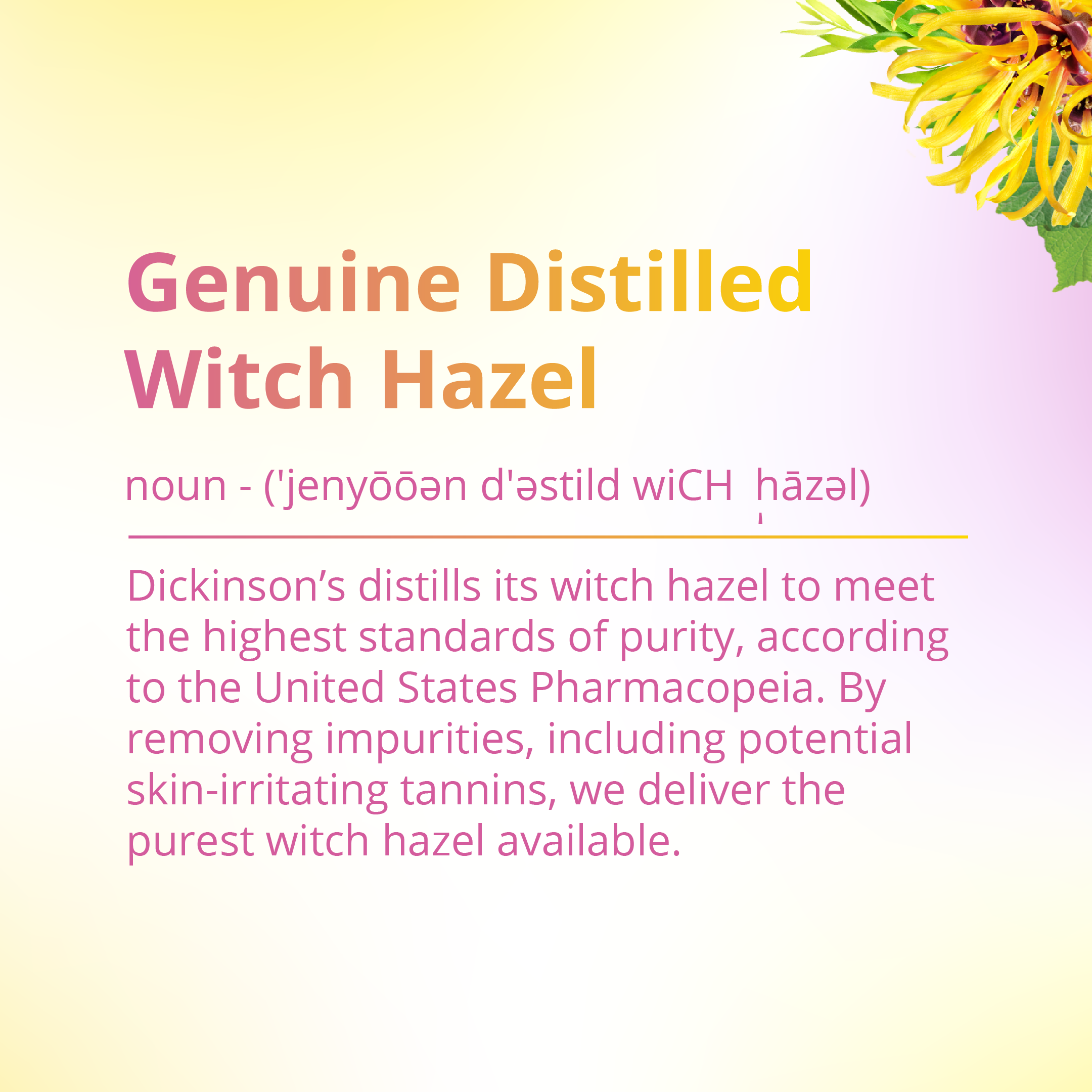 Dickinson's  Alcohol Free Witch Hazel Hydrating Toner with Rosewater, 98% Natural Formula, 16 fl oz - image 5 of 9
