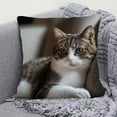 thumbnail image 4 of CaiYueKe Cute Pet Pillowcase Hidden Zipper Decorative Throw Pillow Cover Soft Plush Cuddly Pillow Case for Home Bedroom Living Room Sofa Office Decor Gift, 4 of 7