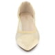 thumbnail image 3 of Zapatillas De Ballet Sin Cordones Allegra K Malla Puntiagudo Beige 41, 3 of 6
