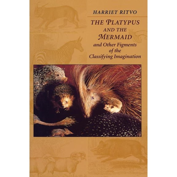 The Platypus and the Mermaid (Paperback)