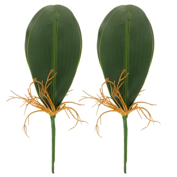 ETEREAUTY 2-Pack Artificial Green Phalaenopsis Orchid Leaves for Wedding Decoration and Home Display