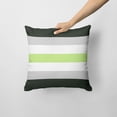 thumbnail image 2 of Carolines Treasures CK8010PW1414 Fabric Decorative Pillow, 14Hx14W, multicolor, 2 of 3