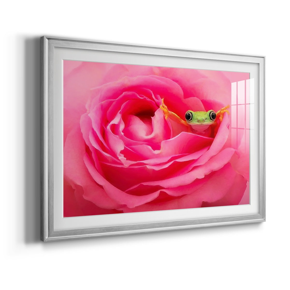 Hanging On VIII Premium Framed Print - Ready to Hang