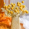 thumbnail image 2 of 30Pcs Fake Billy Balls,Craspedia Globosa Benth,Artificial Billy Ball Flowers,Boho Flower Bouquet Floral Arrangements,for Wedding Party DIY Crafts Home Decor (Golden), 2 of 8