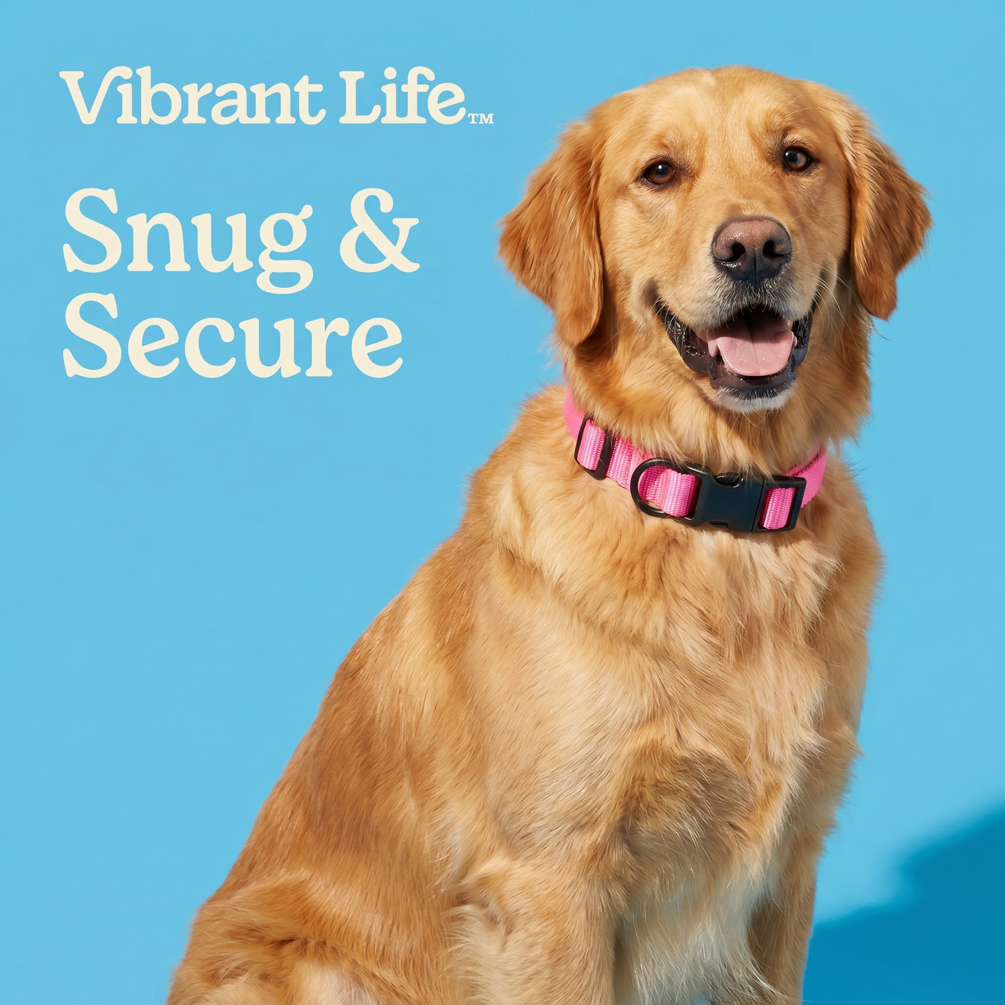 Vibrant Life Solid Polyester Adjustable Dog Collar, Pink, Medium