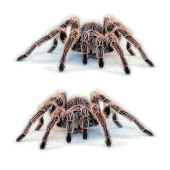 vlrwzc 3D Spider Car Sticker Auto Headlight Scorpion Lizard Waterproof Vinyl Decal Sticker for Car Truck Motorcycle Window Bumper Wall Decor