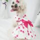 thumbnail image 4 of Ropa para perros, camisa a rayas para cachorros, paquete de 2 camisetas de marinero para mascotas, chaleco de verano, ropa para perros pequeños, medianos, grandes, niños, niñas, perros y gatos Namotu CZCW-ZC464-4, 4 of 7