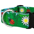 thumbnail image 5 of Country Brook Petz® HossFit Jr Wide Everyday Dog Collar (Ladybug Picnic, Large), 5 of 5