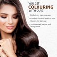 thumbnail image 4 of Kit de extensiones de cejas KC Republic con 4 bandejas de cejas de visón en rubio/marrón claro, marrón oscuro, negro, viene en bandejas de longitud mixta, mezcla de pegamento para extensión de cejas d, 4 of 5